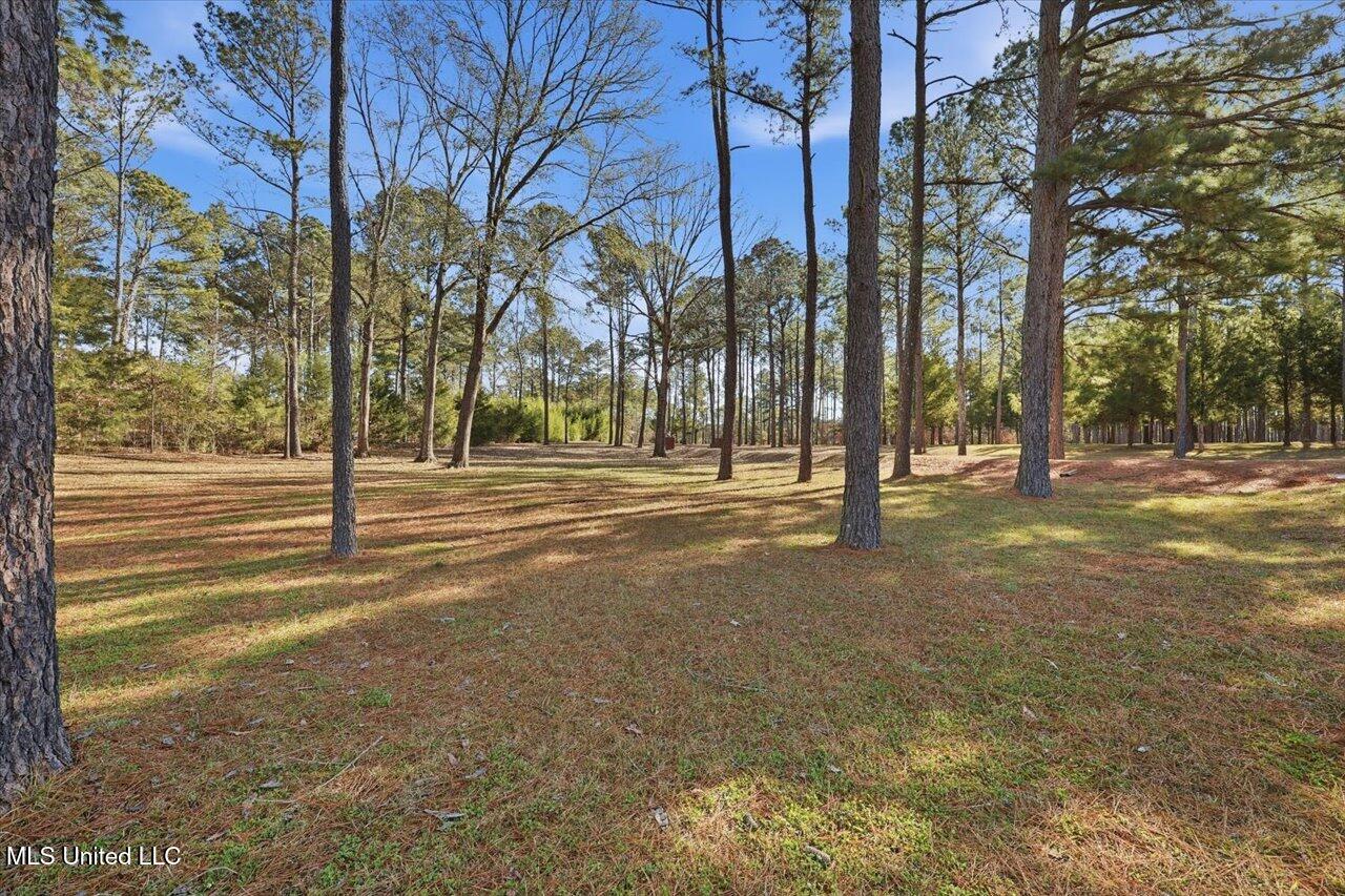 123 Lakeshire Cove Property Photo 81