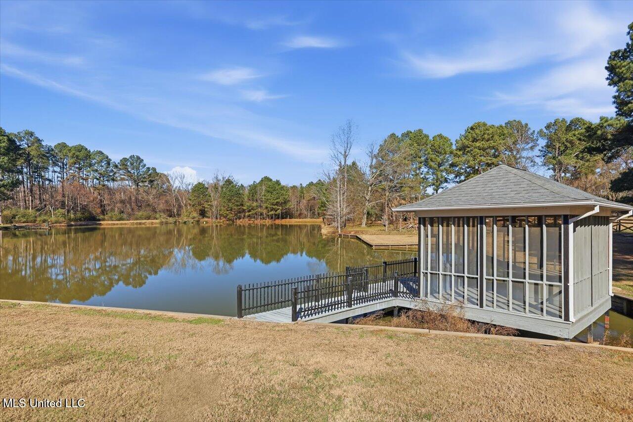 123 Lakeshire Cove Property Photo 96