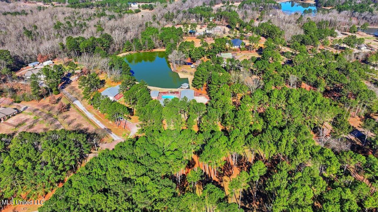 123 Lakeshire Cove Property Photo 98