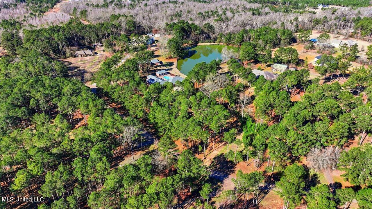 123 Lakeshire Cove Property Photo 99