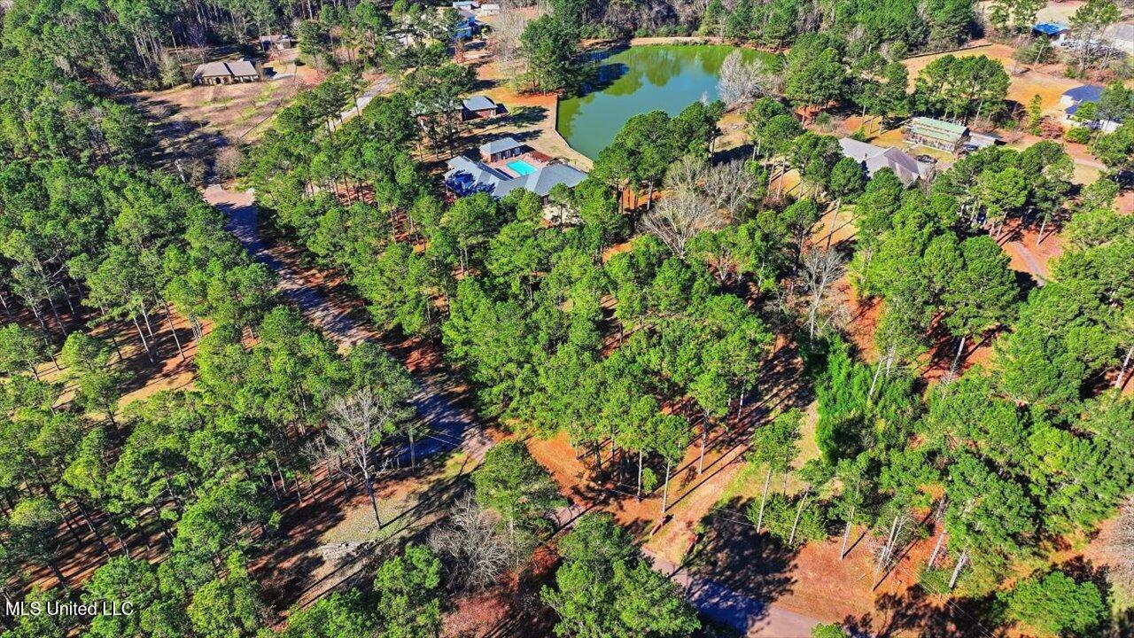123 Lakeshire Cove Property Photo 100