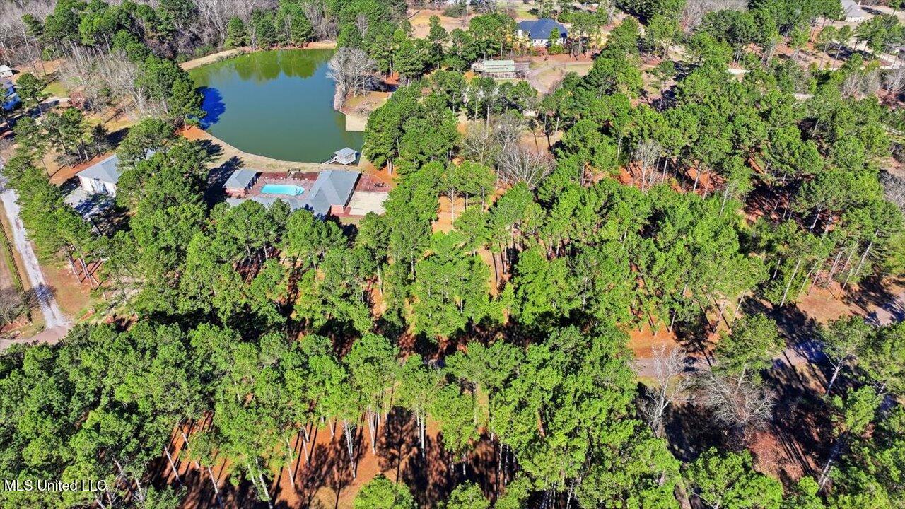 123 Lakeshire Cove Property Photo 101