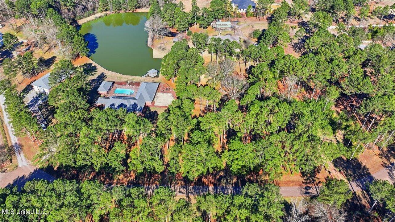 123 Lakeshire Cove Property Photo 102
