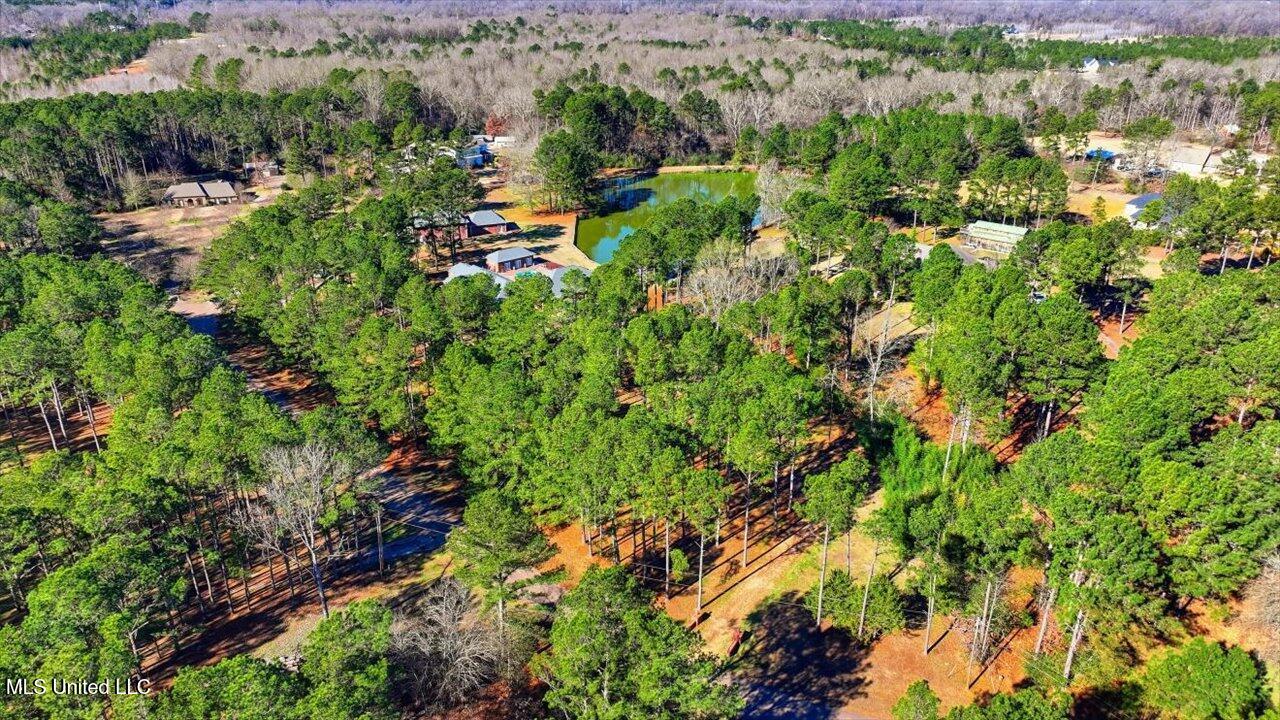 123 Lakeshire Cove Property Photo 103