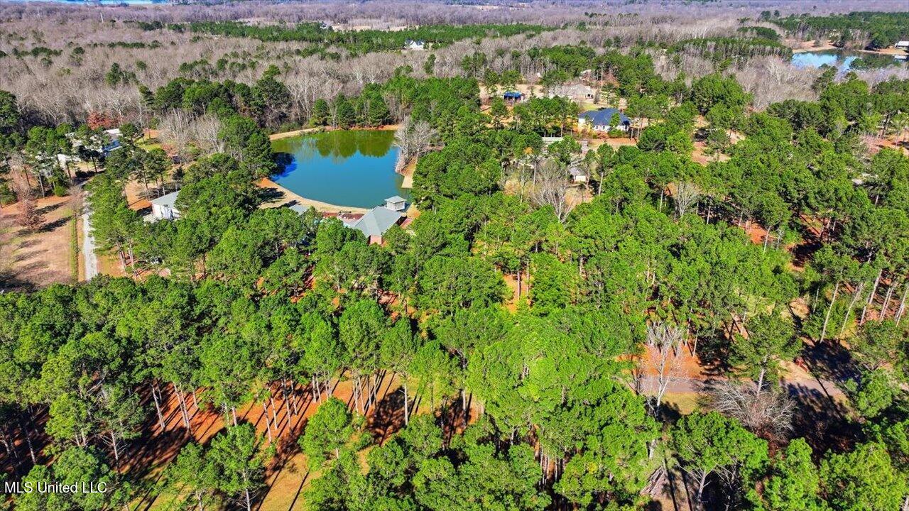 123 Lakeshire Cove Property Photo 104