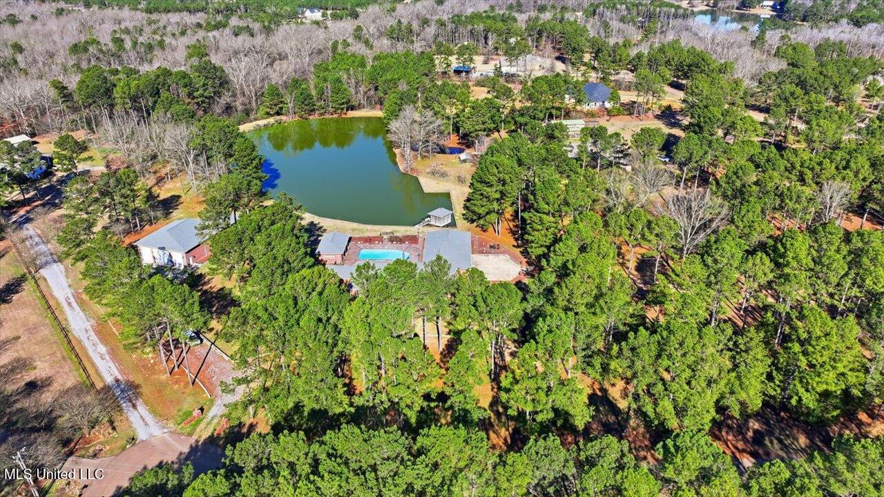 123 Lakeshire Cove Property Photo 105