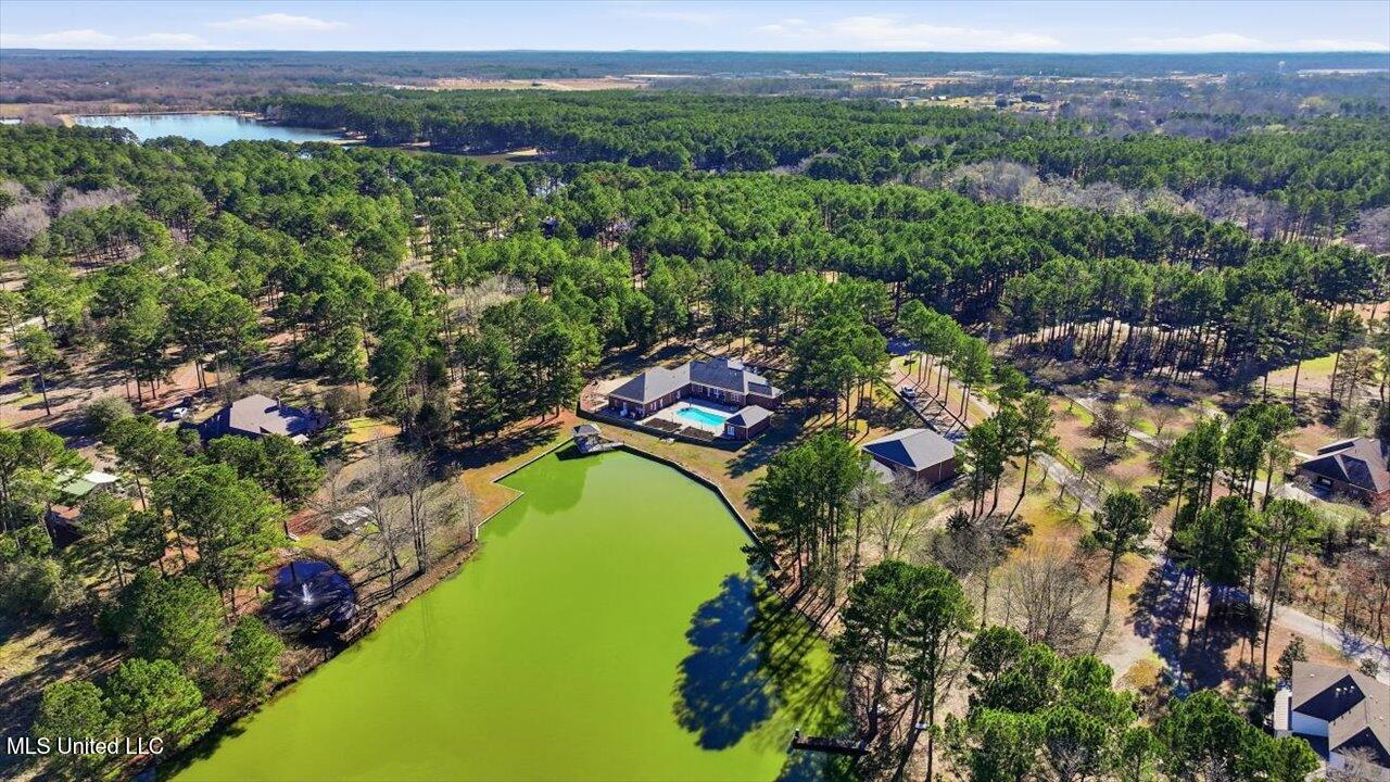 123 Lakeshire Cove Property Photo 112