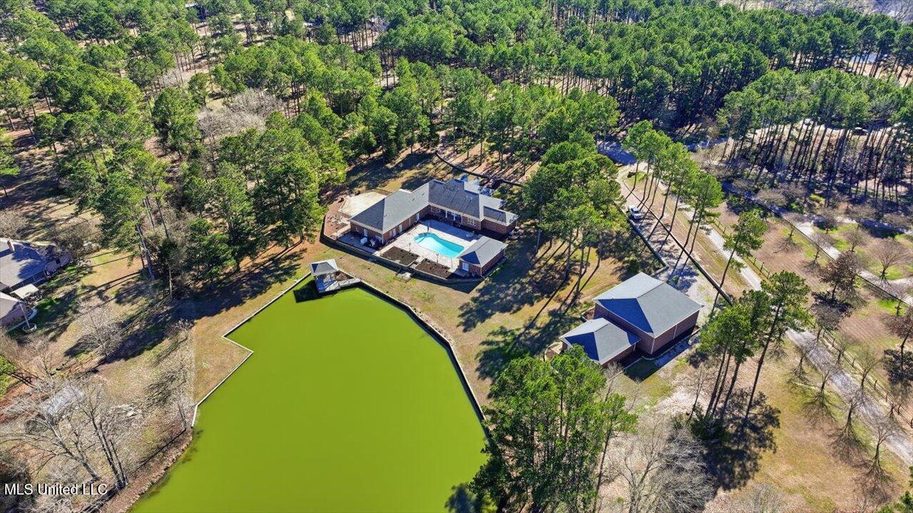 123 Lakeshire Cove Property Photo 113