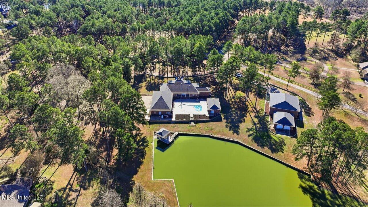 123 Lakeshire Cove Property Photo 114