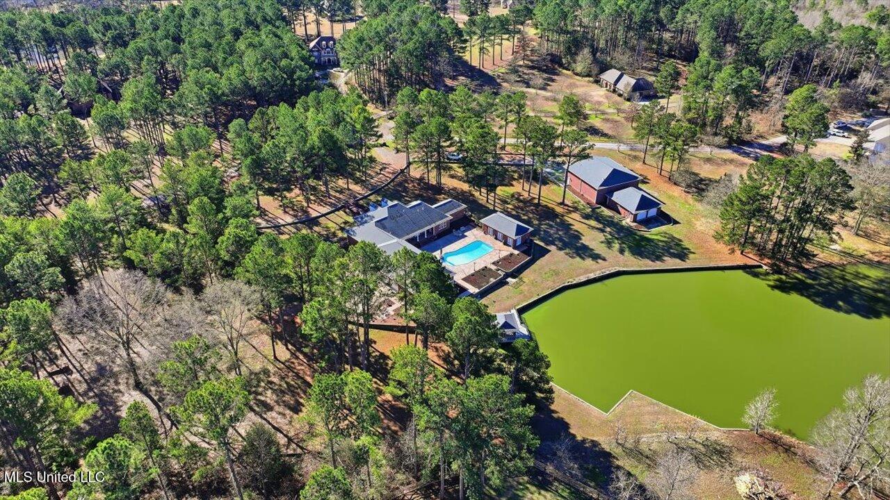 123 Lakeshire Cove Property Photo 115