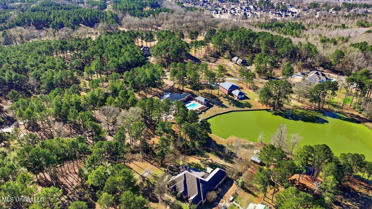 123 Lakeshire Cove Property Photo 116