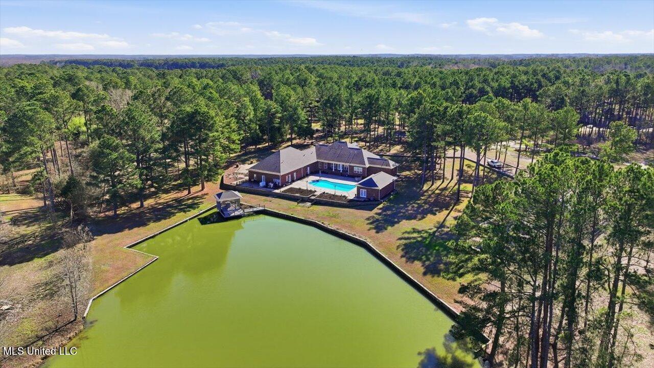 123 Lakeshire Cove Property Photo 121