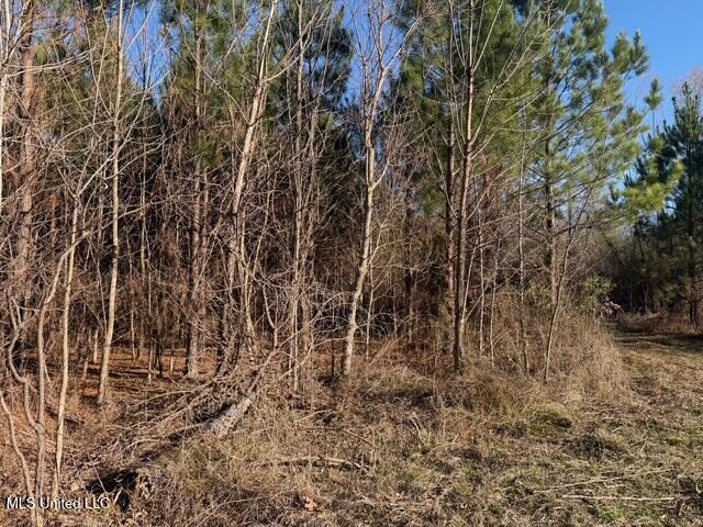 Raymond Road Property Photo 5