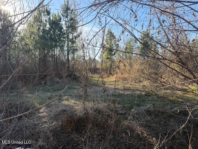 Raymond Road Property Photo 6