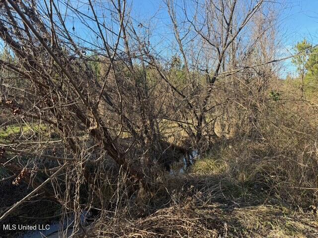 Raymond Road Property Photo 8