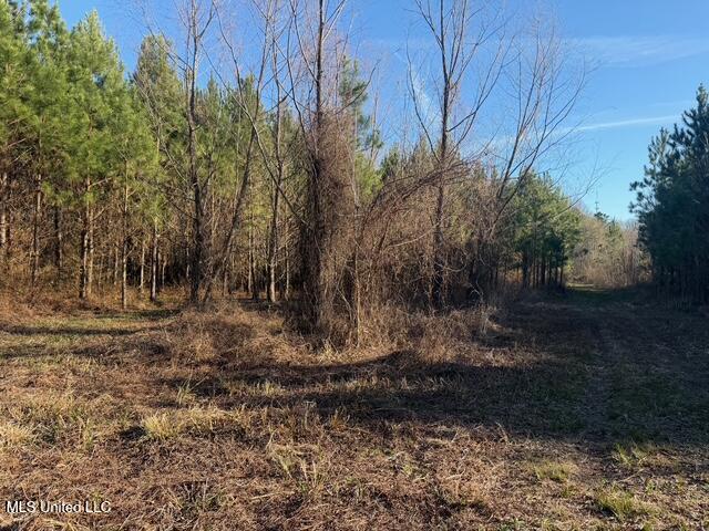 Raymond Road Property Photo 11
