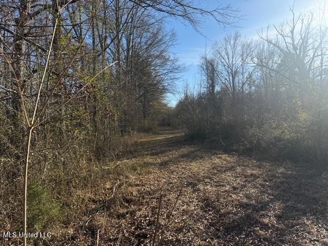 Raymond Road Property Photo 20