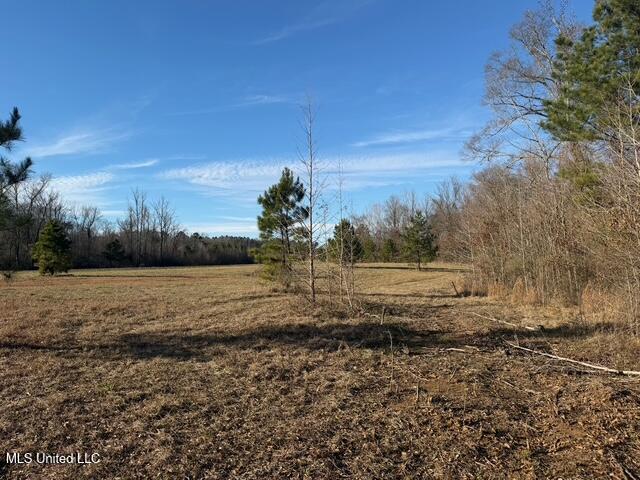 Raymond Road Property Photo 33