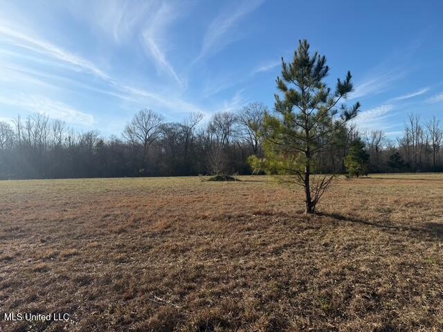 Raymond Road Property Photo 35