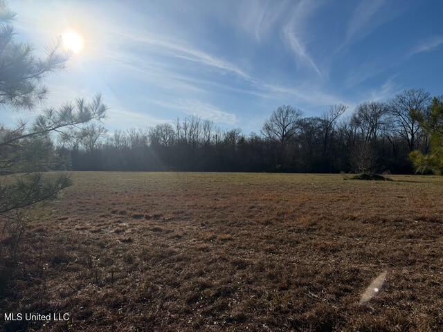 Raymond Road Property Photo 36
