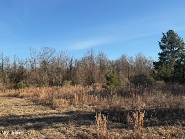 Raymond Road Property Photo 58