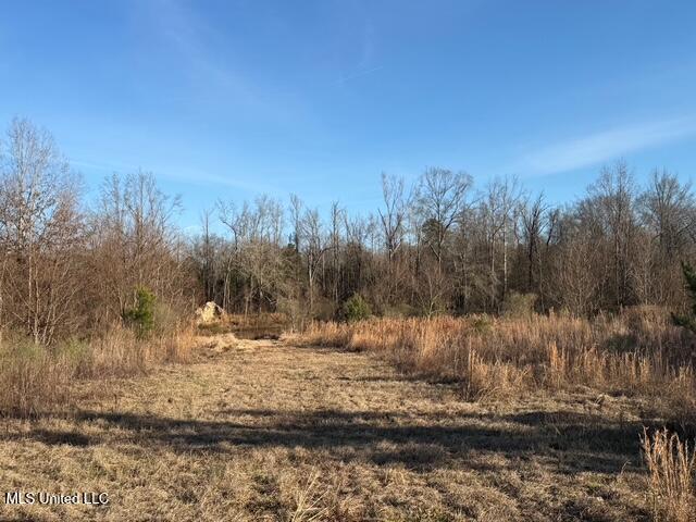 Raymond Road Property Photo 59