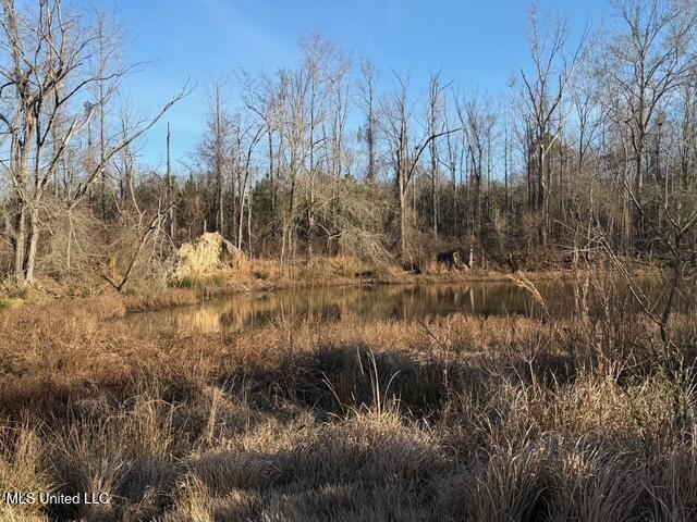 Raymond Road Property Photo 60