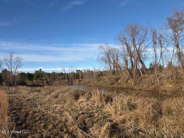 Raymond Road Property Photo 65