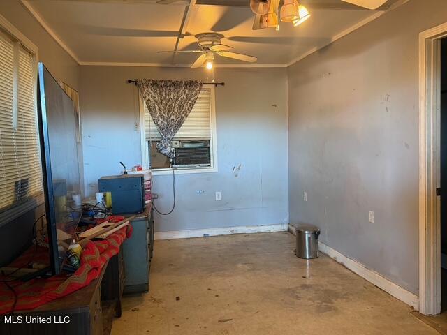 Raymond Road Property Photo 80