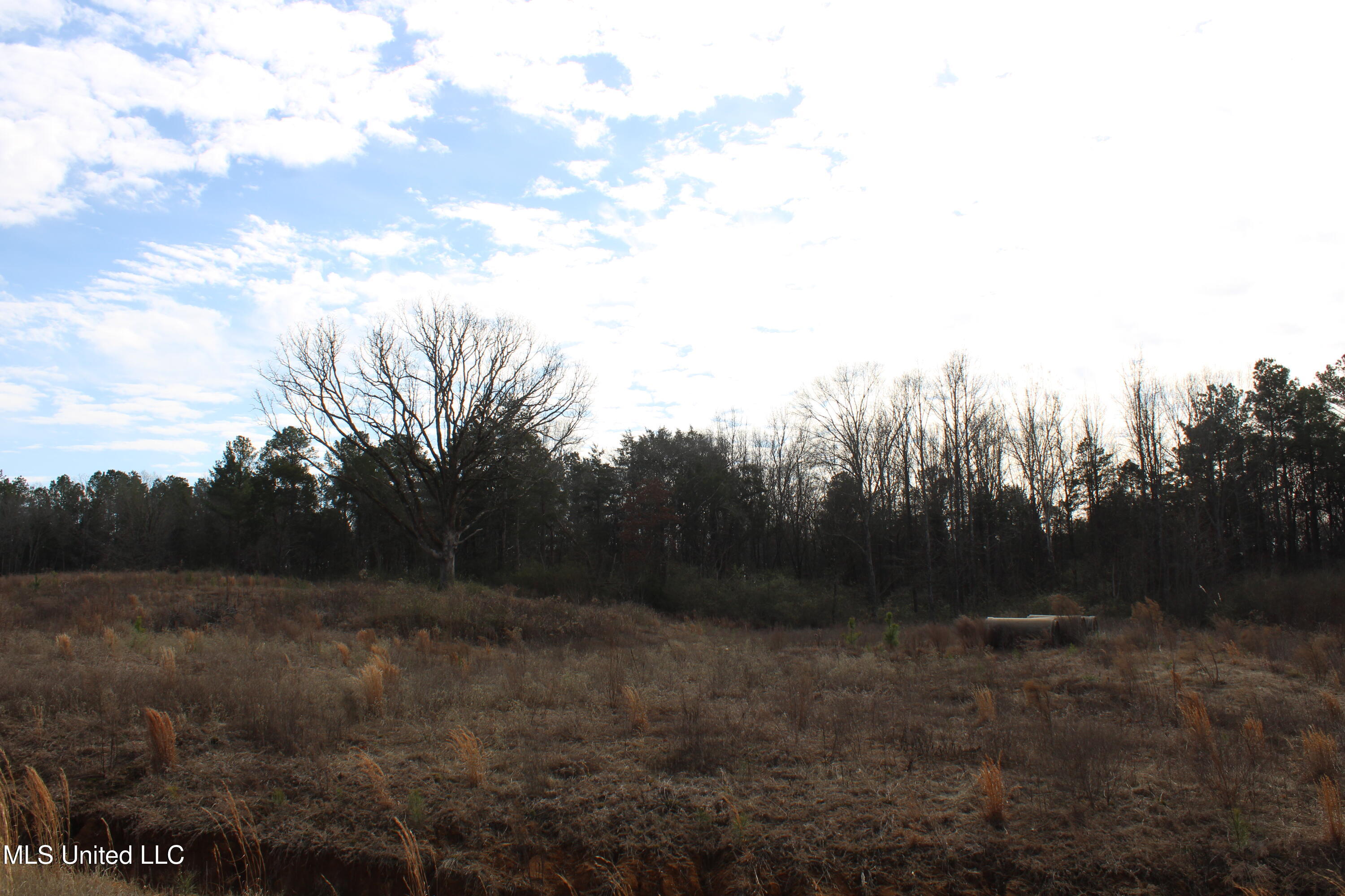 5 Taylor Nichole Road Property Photo 4