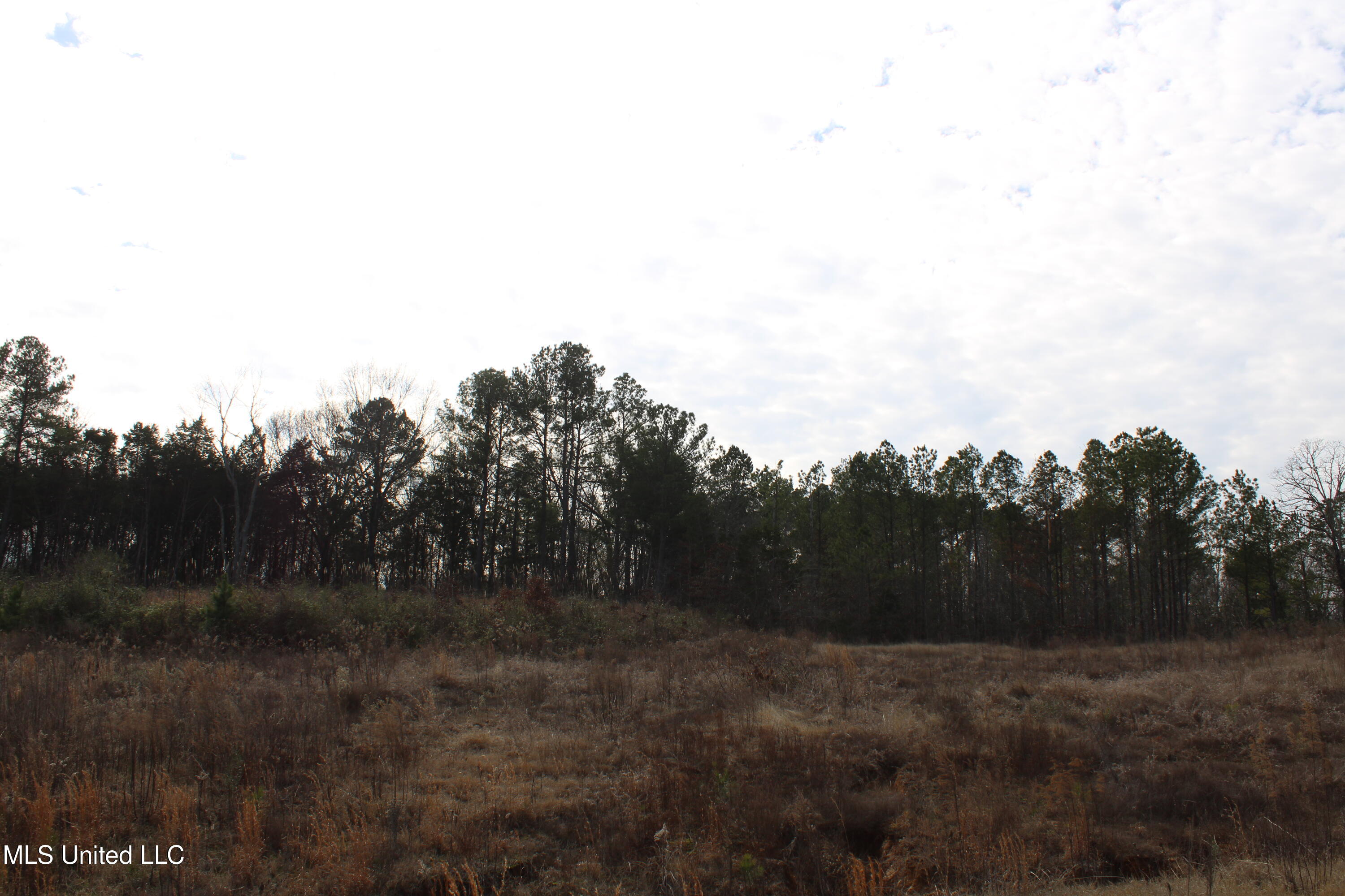 5 Taylor Nichole Road Property Photo 6