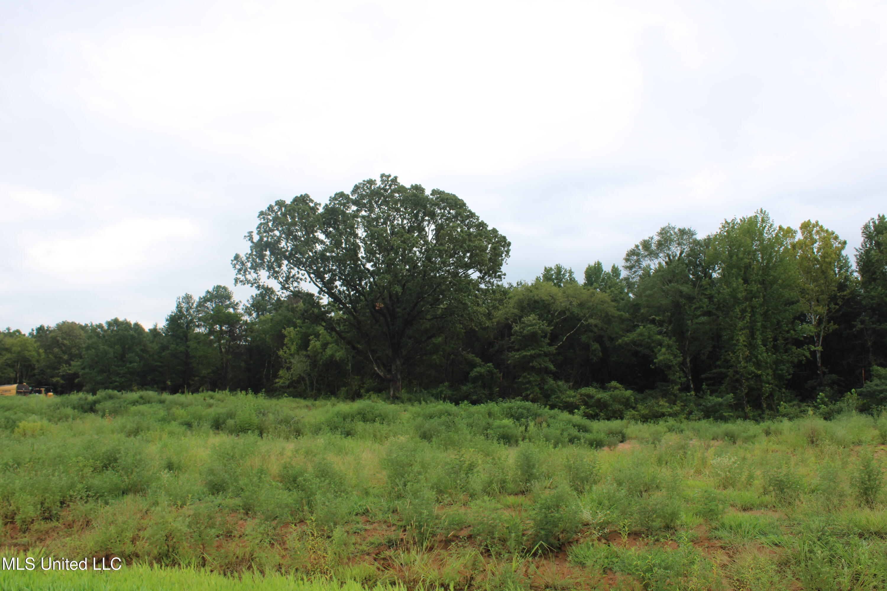 5 Taylor Nichole Road Property Photo 16