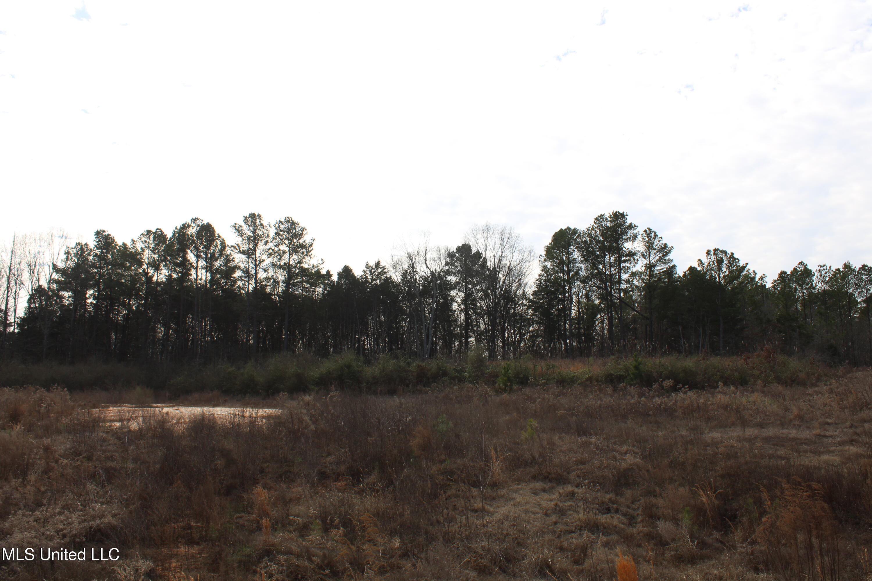 6 Taylor Nichole Road Property Photo 5