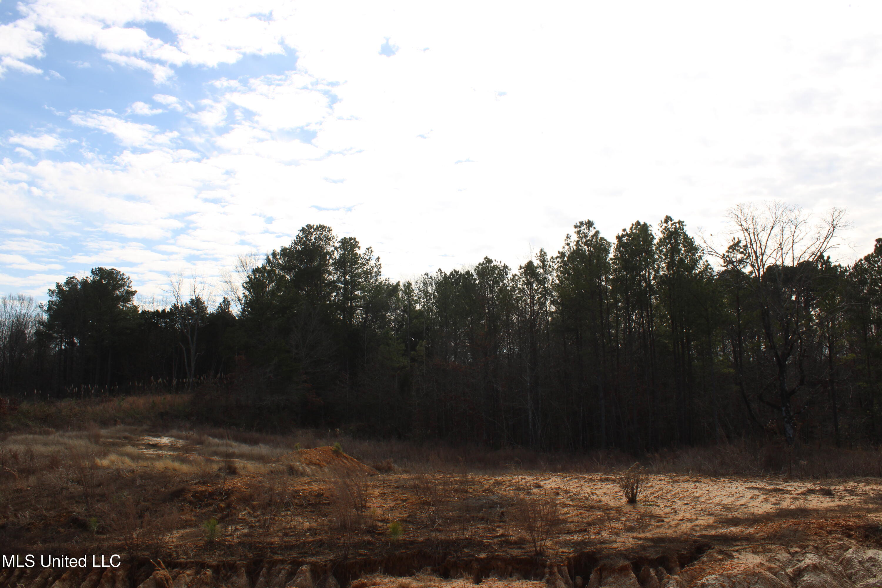 6 Taylor Nichole Road Property Photo 7
