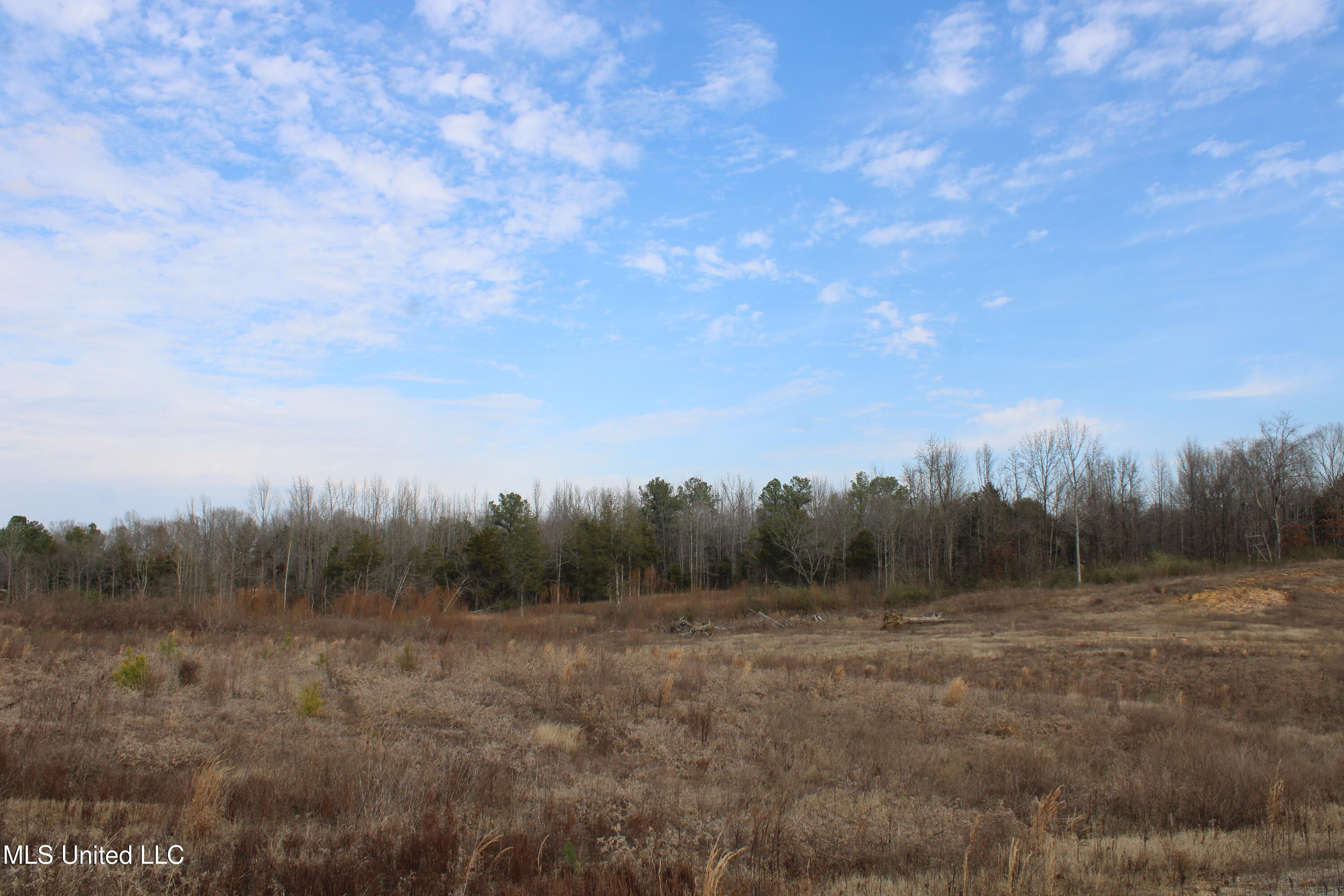 6 Taylor Nichole Road Property Photo 10