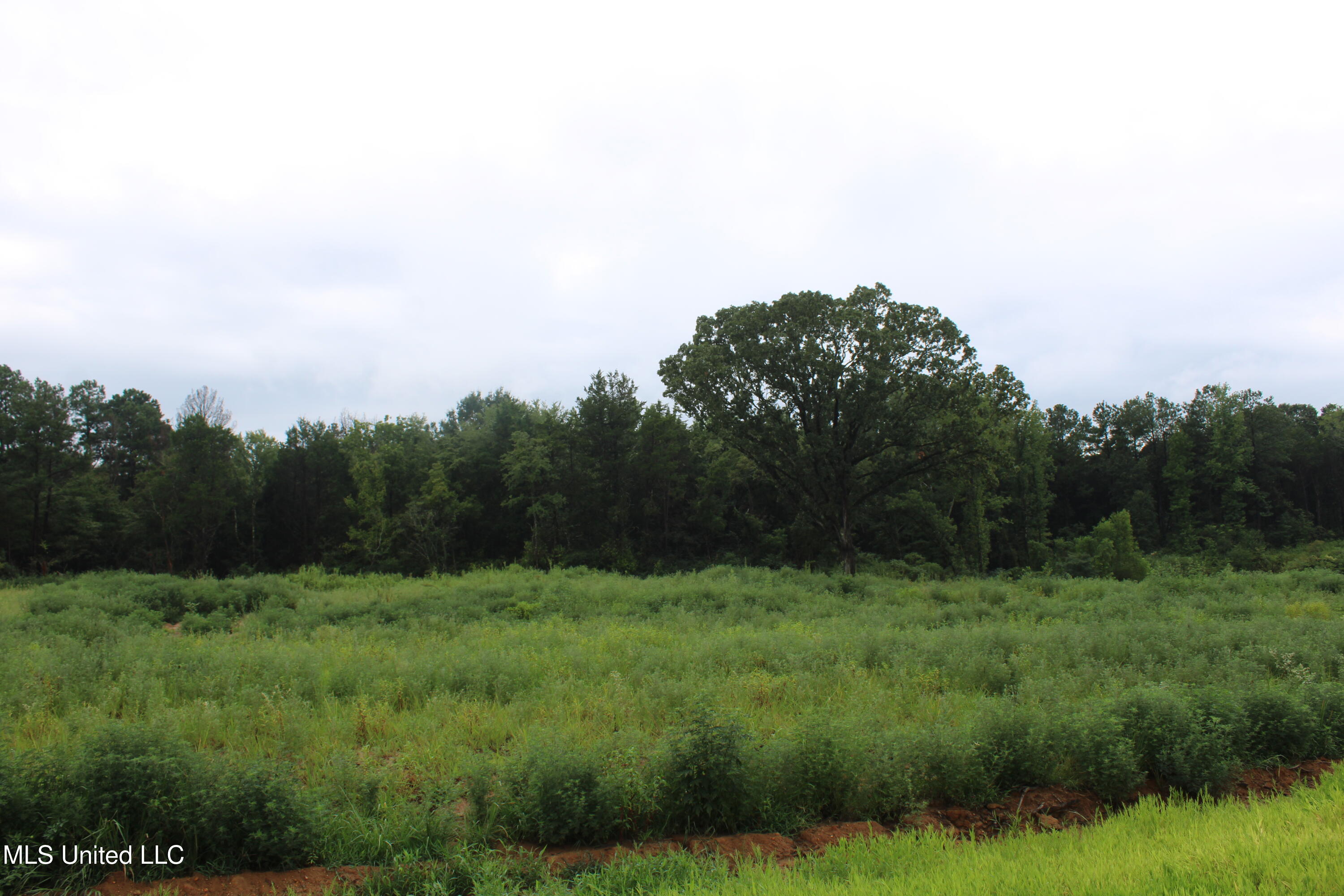 6 Taylor Nichole Road Property Photo 13