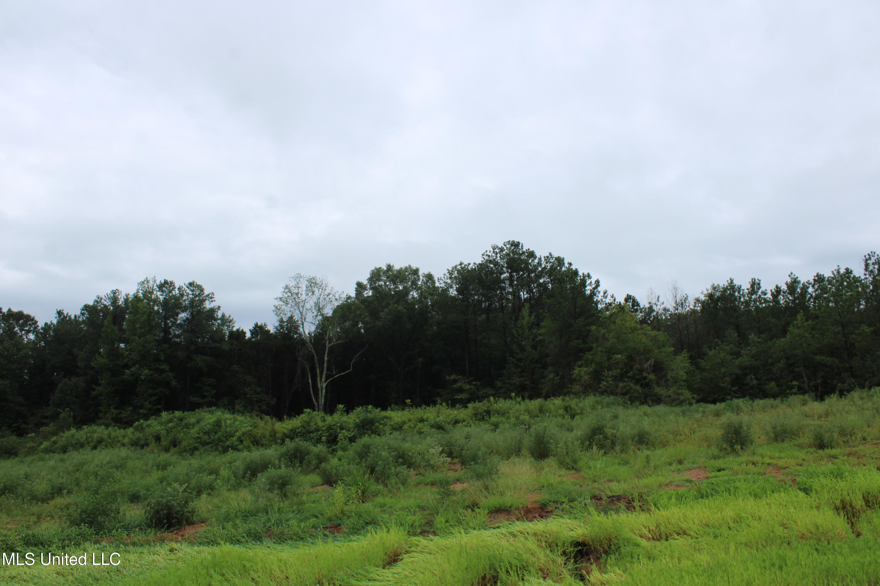 6 Taylor Nichole Road Property Photo 18