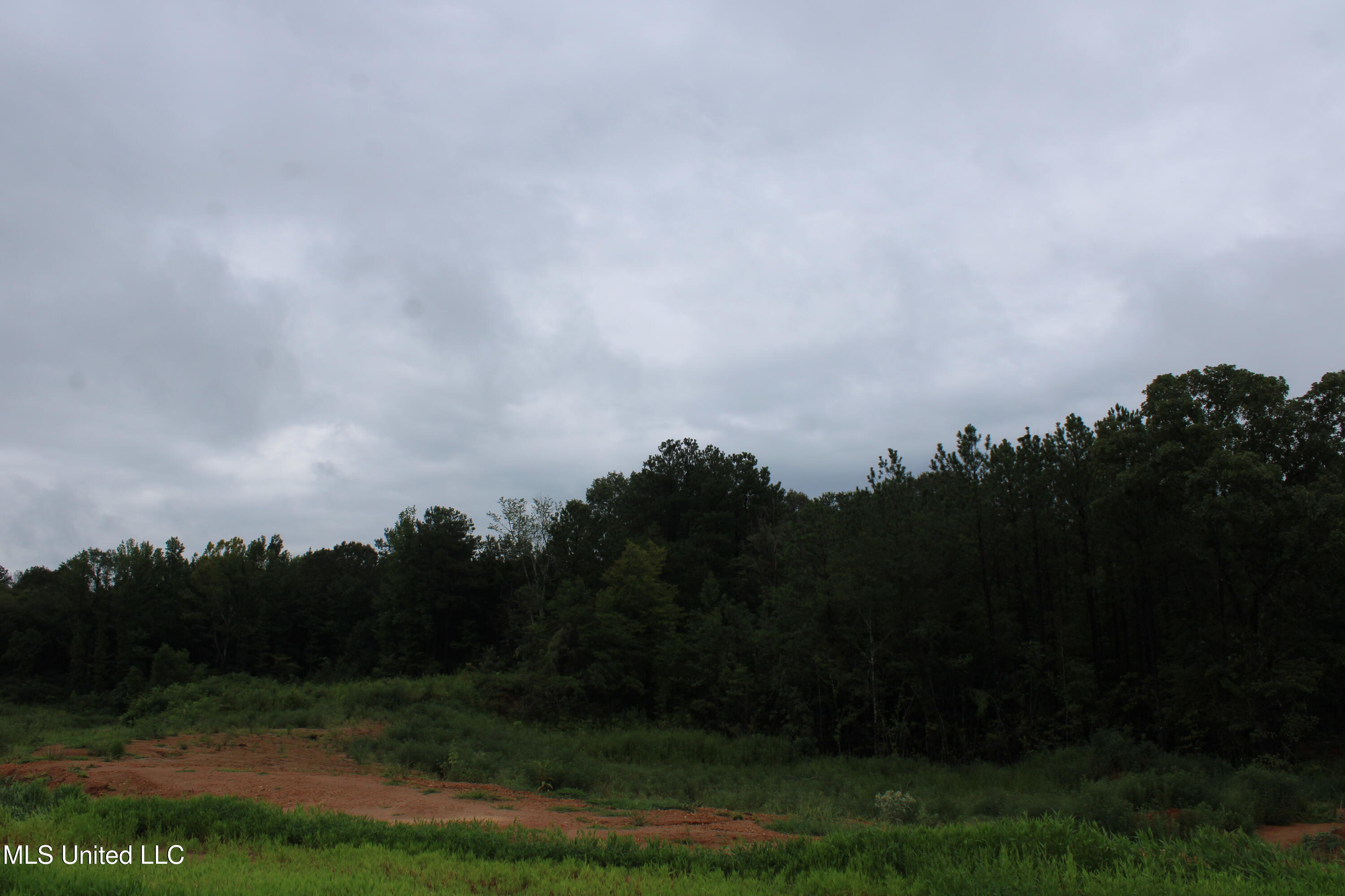 6 Taylor Nichole Road Property Photo 19