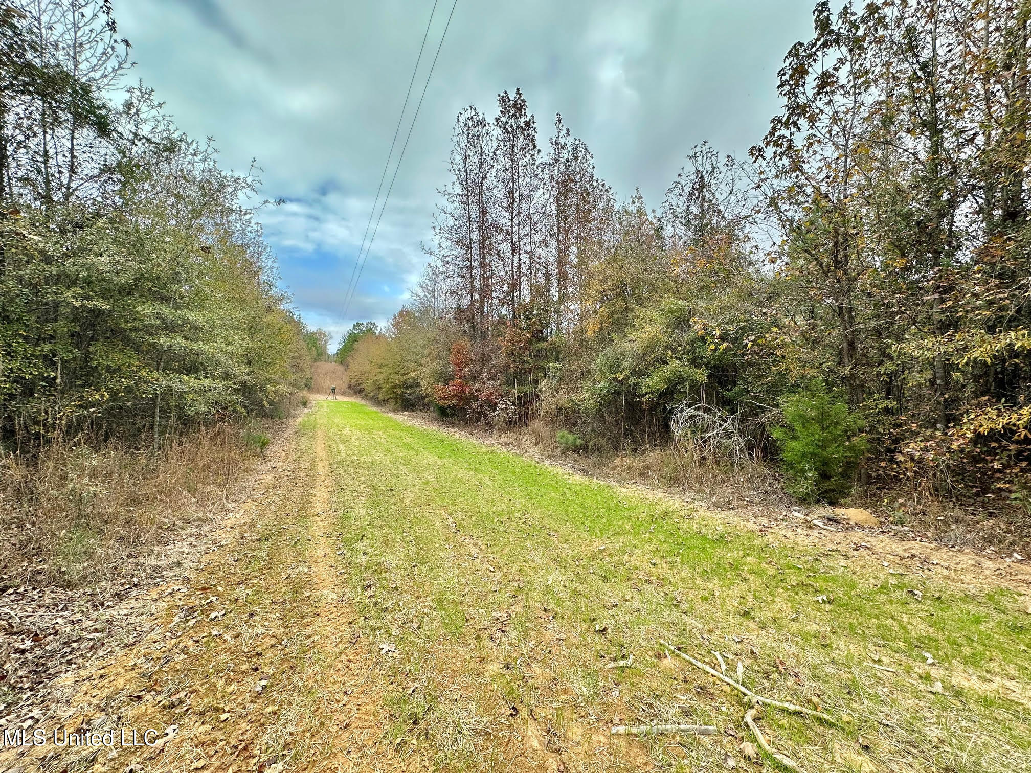 8 County Road 3122 Property Photo 1