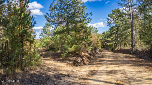 8 County Road 3122 Property Photo 14