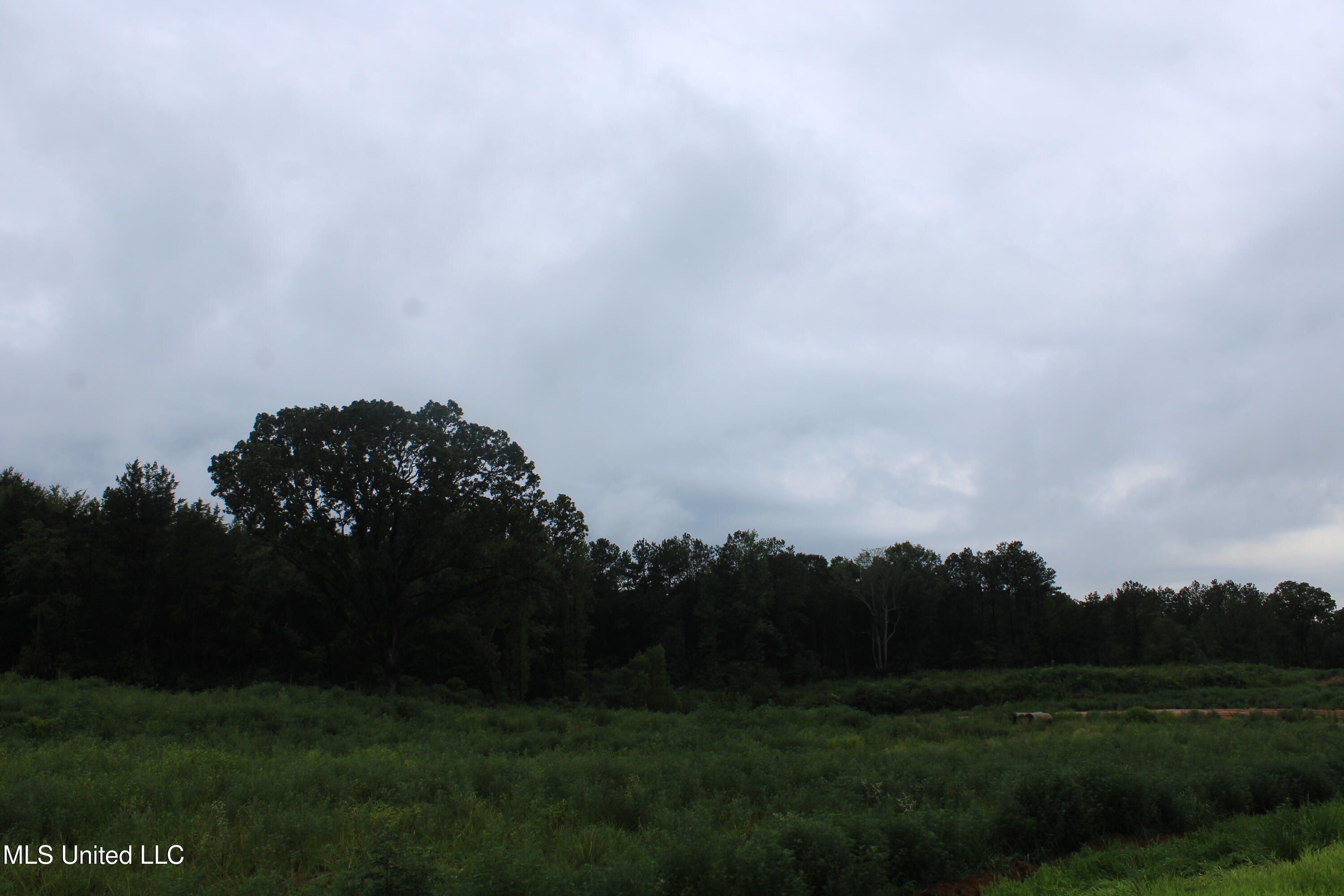 12 Taylor Nichole Road Property Photo 15
