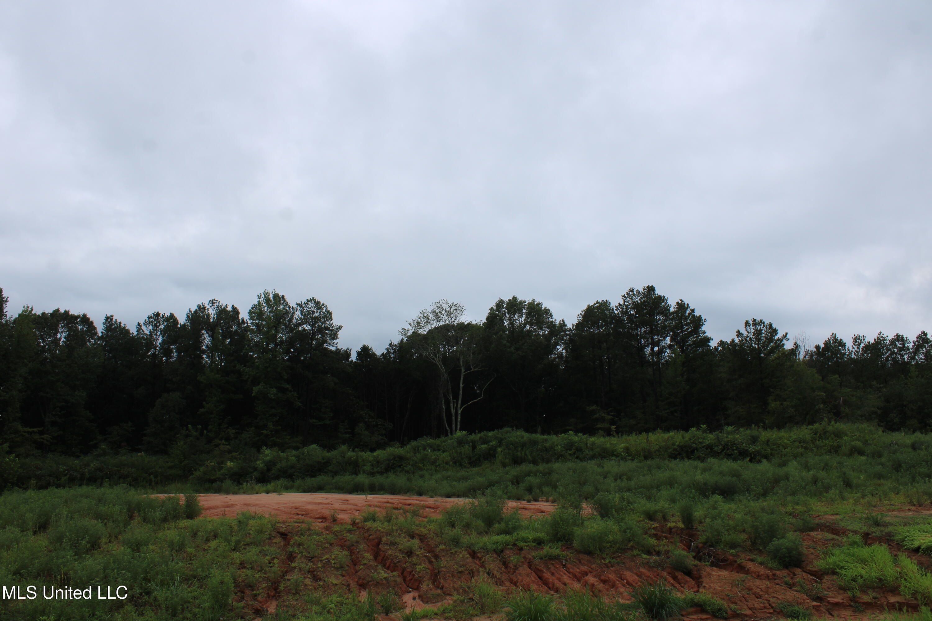12 Taylor Nichole Road Property Photo 17