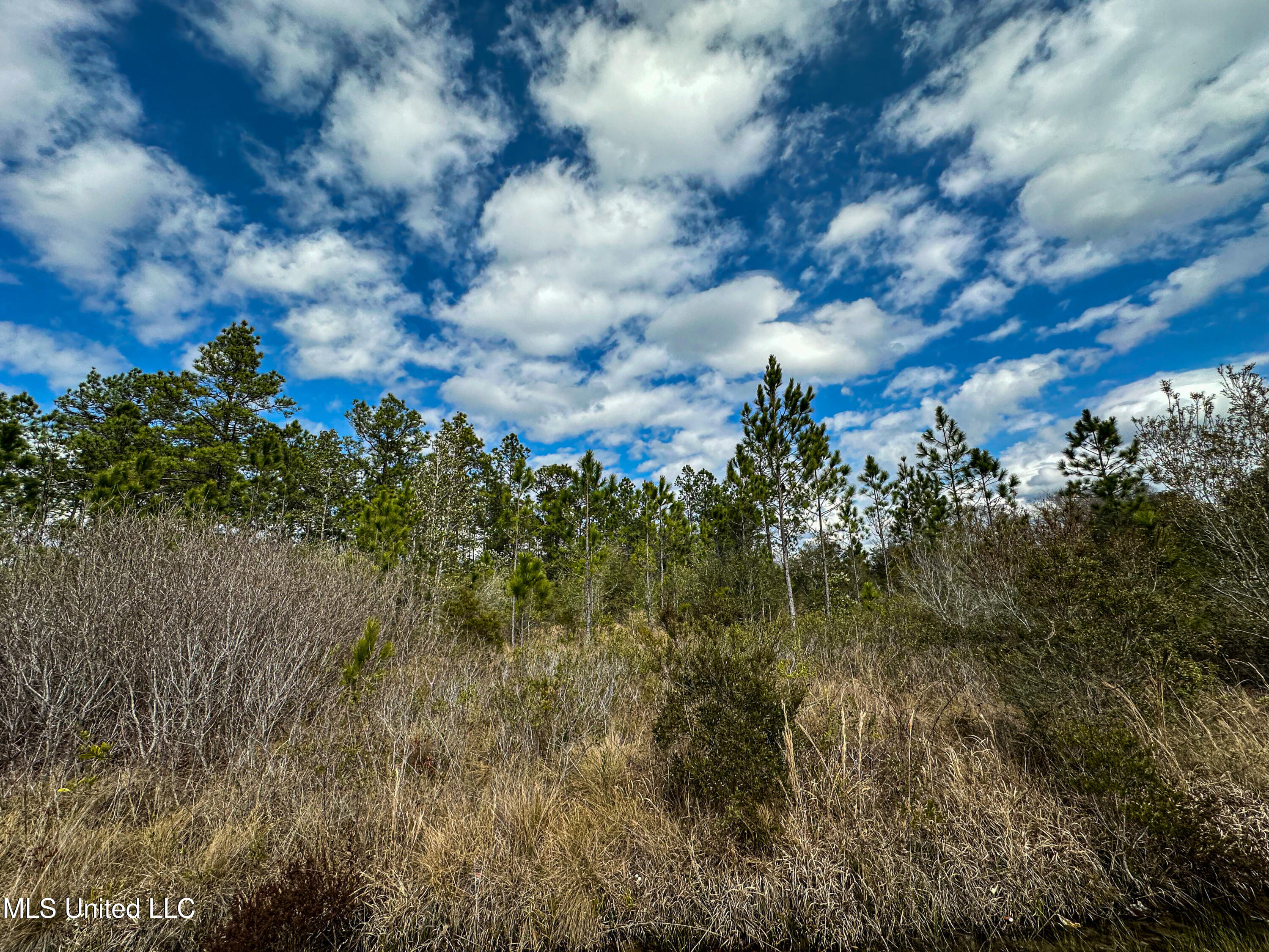 Mississippi 613 Highway Property Photo 10