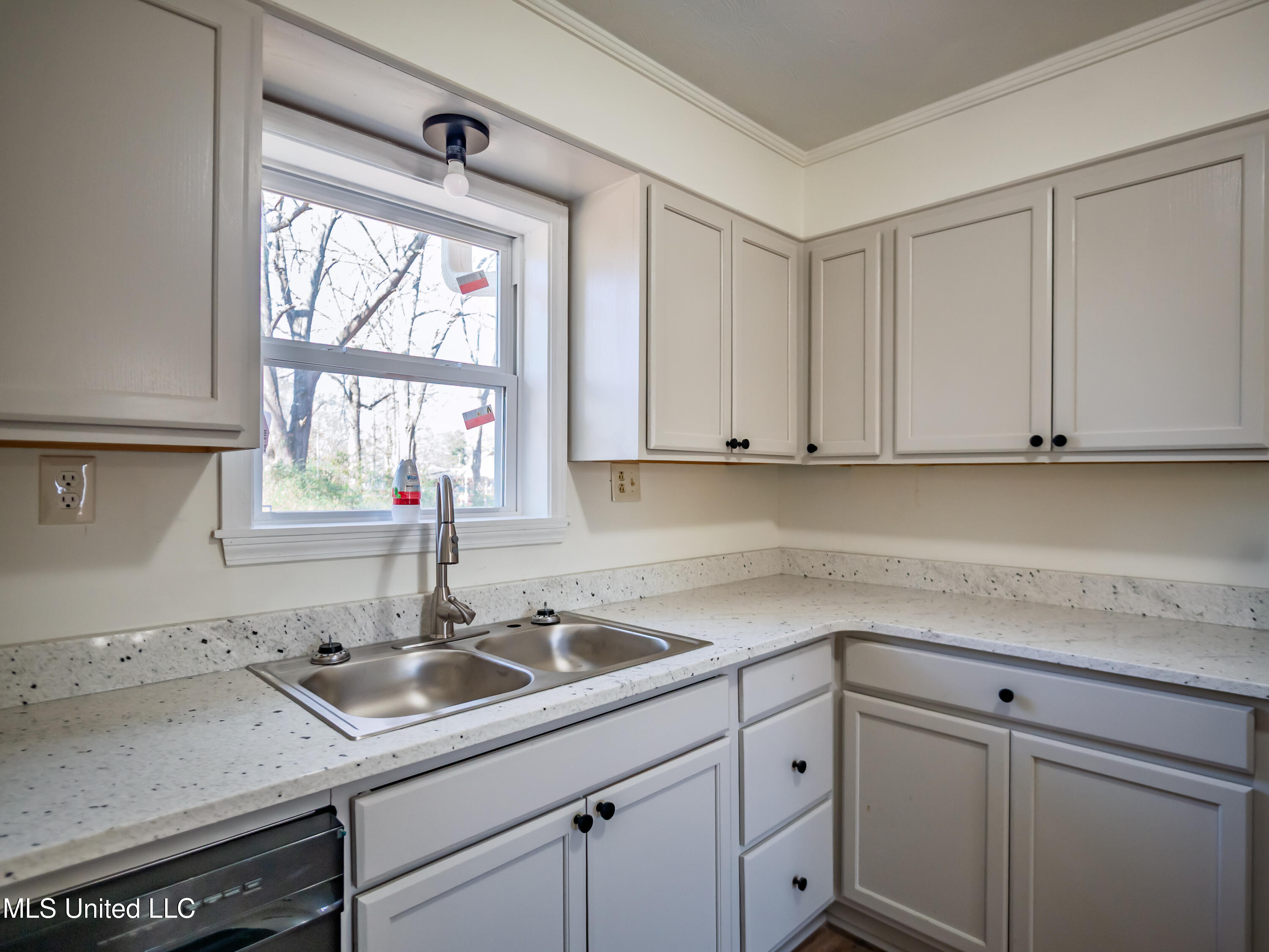 201 College Street Property Photo 20