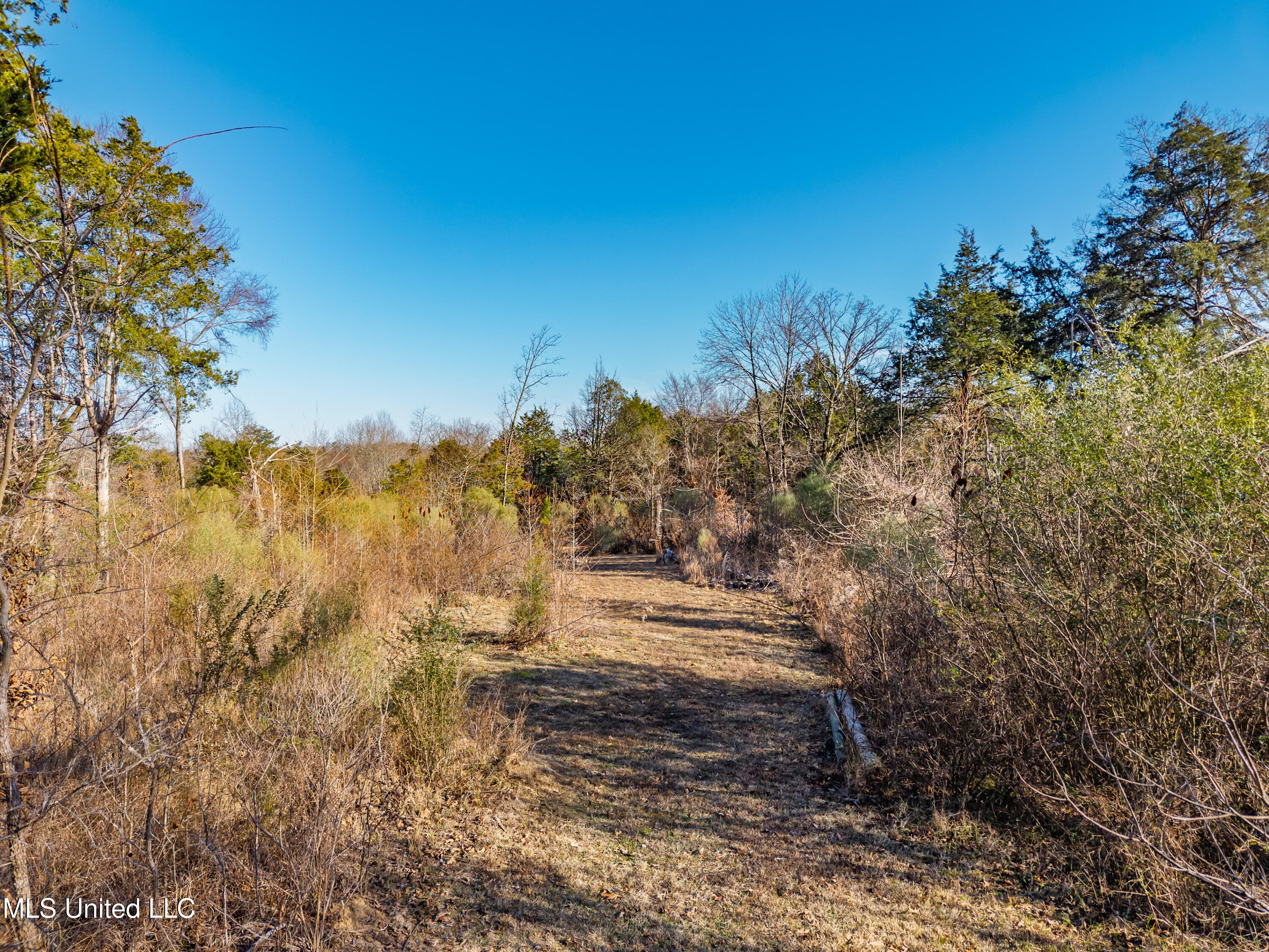 8088 Pope Crowder Road Property Photo 6