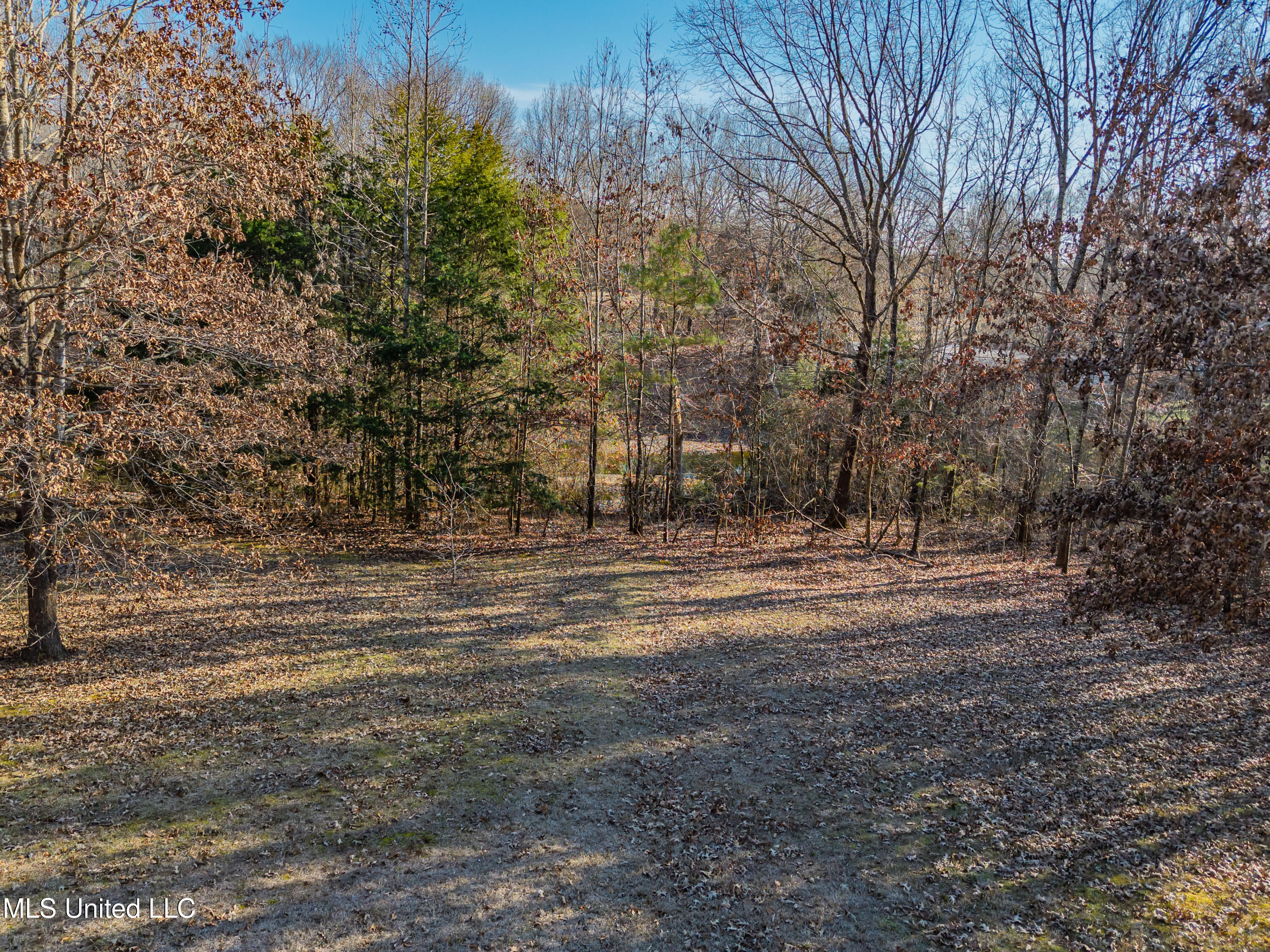 8088 Pope Crowder Road Property Photo 24