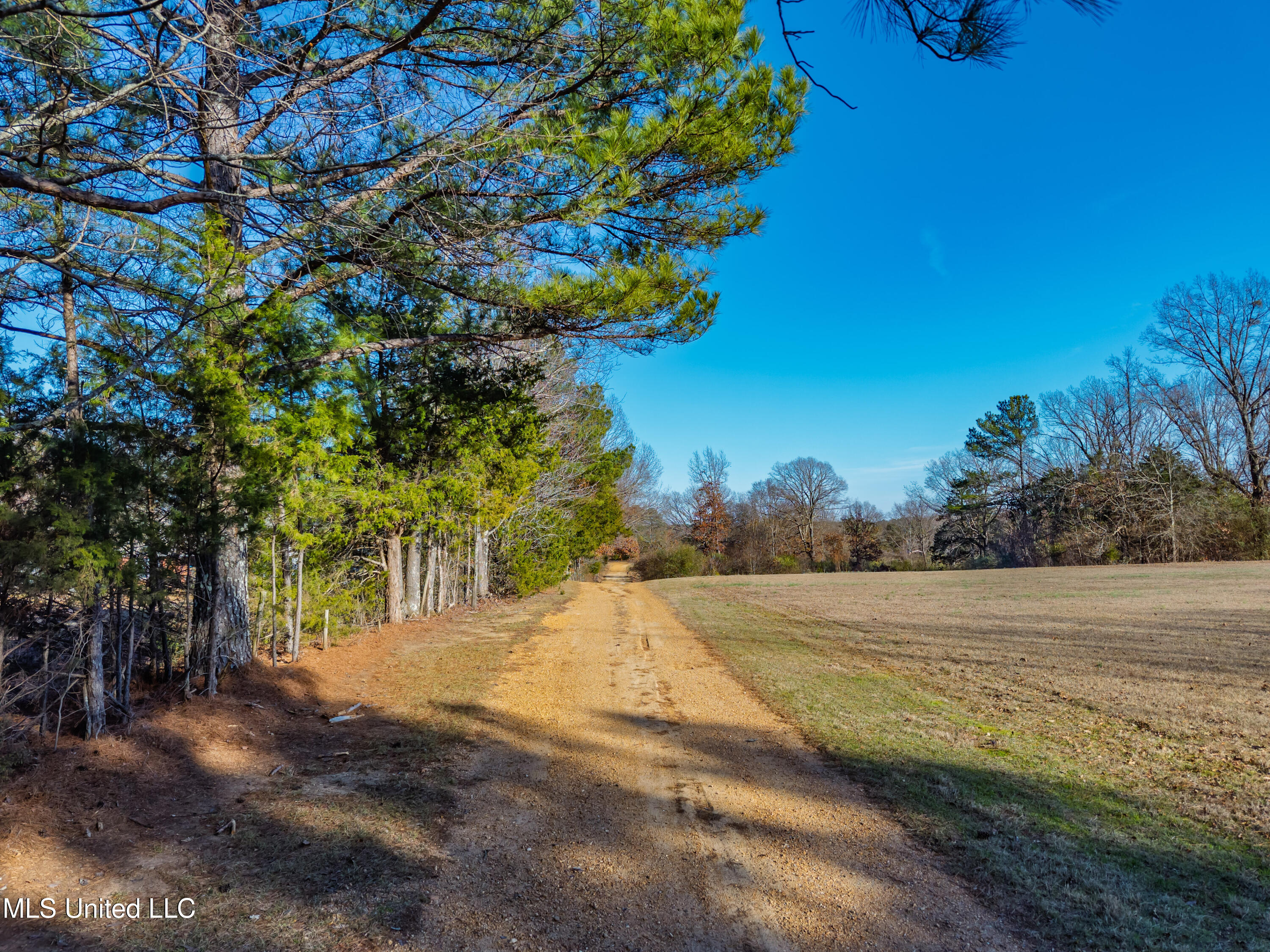 8088 Pope Crowder Road Property Photo 28