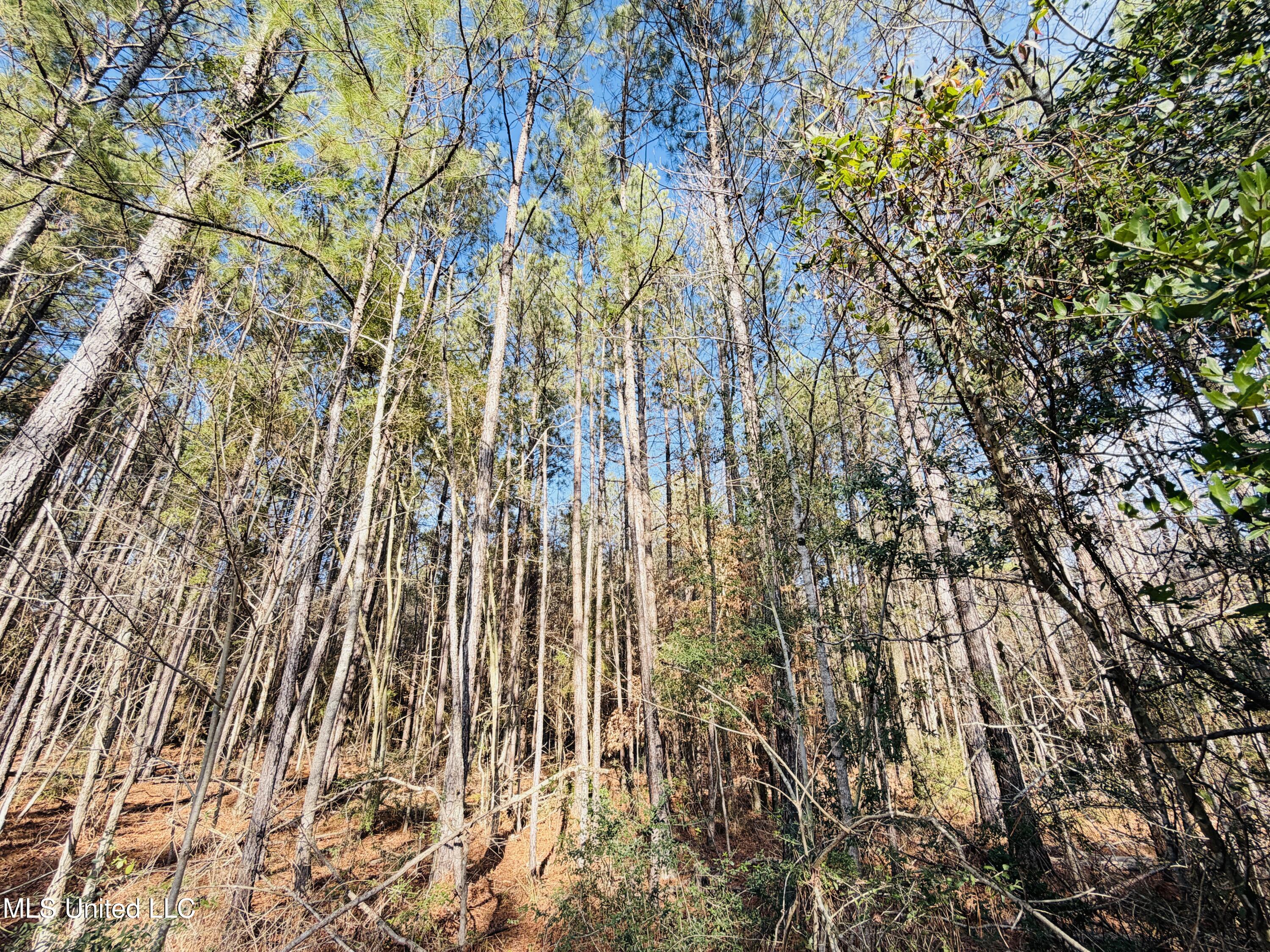 Mallard Trail Property Photo 1