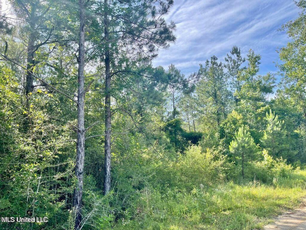1.62 Acres Ferrell Lane Property Photo 2