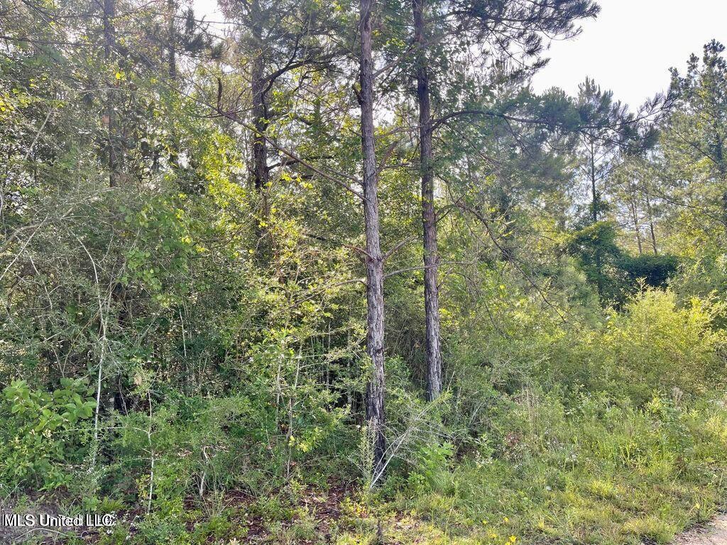 1.62 Acres Ferrell Lane Property Photo 3